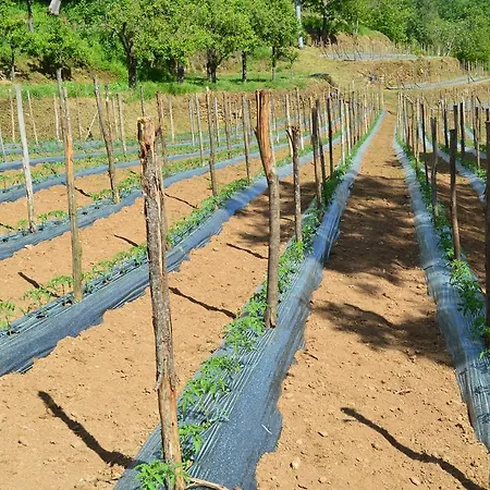 E Turre Serrastretta