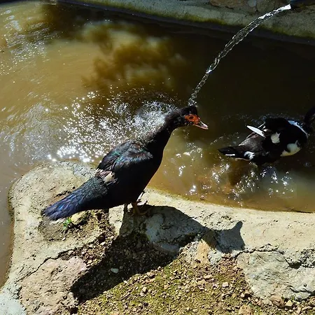 E Turre Serrastretta