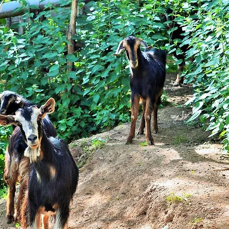 Alloggio per agriturismo E Turre *