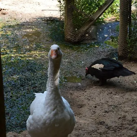 Agriturismo E Turre * Serrastretta