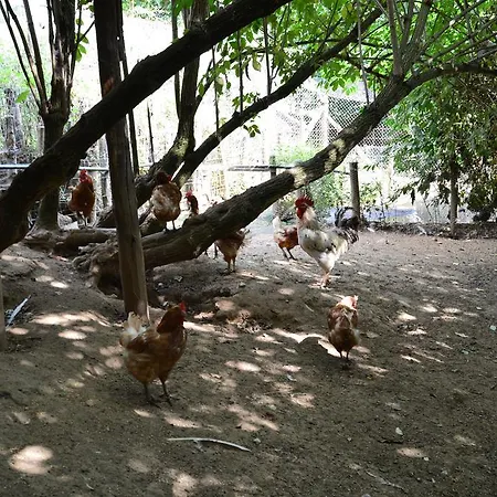 Agriturismo E Turre *