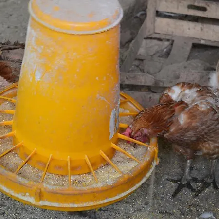 Agriturismo E Turre *