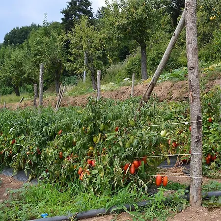 Alloggio per agriturismo E Turre Serrastretta