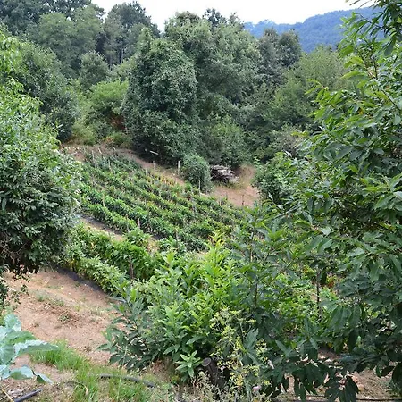 E Turre Alloggio per agriturismo