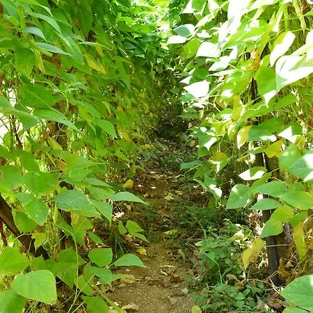 E Turre * Serrastretta