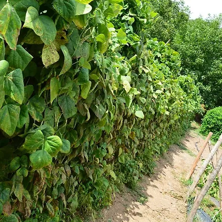E Turre Alloggio per agriturismo