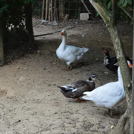 Agriturismo E Turre * Serrastretta