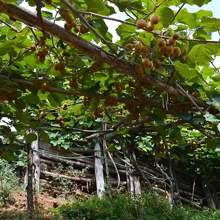 E Turre Serrastretta