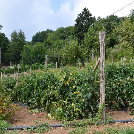 Agriturismo E Turre * Serrastretta