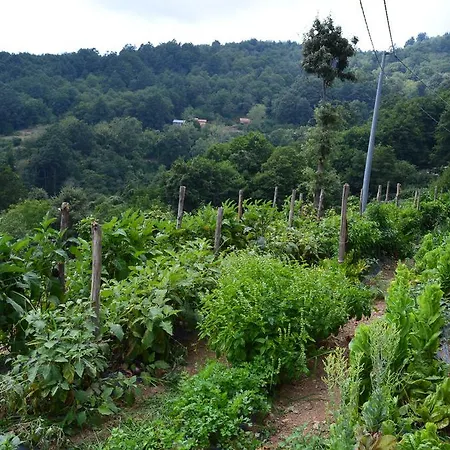 Alloggio per agriturismo E Turre