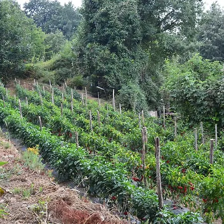 Alloggio per agriturismo E Turre Serrastretta