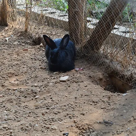 E Turre Farmház Serrastretta