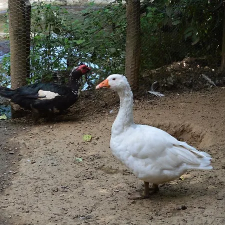 Agriturismo E Turre Serrastretta