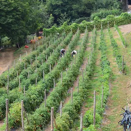 Agriturismo E Turre *