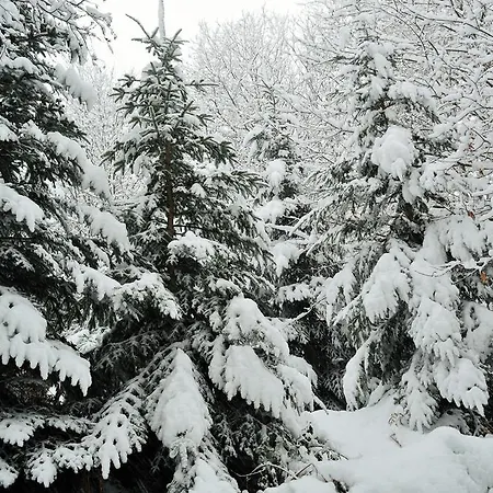 Agriturismo E Turre Serrastretta