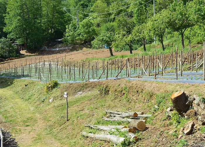 E Turre Serrastretta