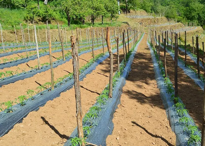 E Turre Serrastretta