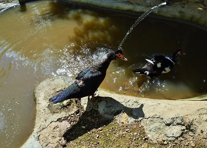 E Turre Serrastretta