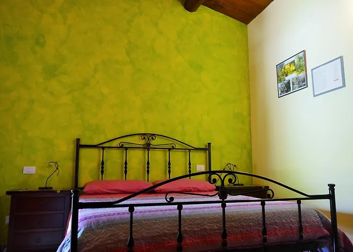 Alojamento de Turismo Rural E Turre