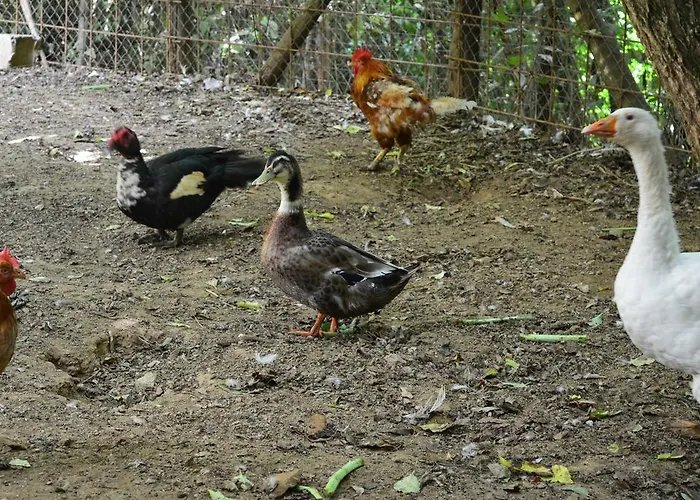 Alojamento de Turismo Rural E Turre