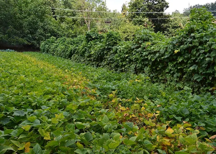 E Turre * Serrastretta