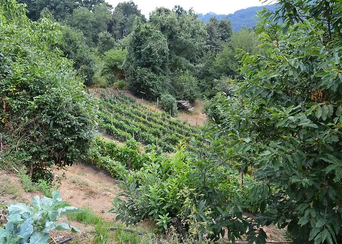 E Turre Alojamento de Turismo Rural