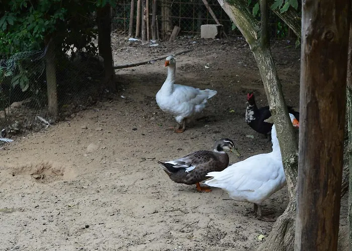 E Turre * Serrastretta