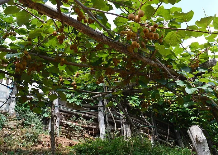 E Turre Serrastretta