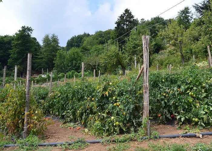 E Turre * Serrastretta