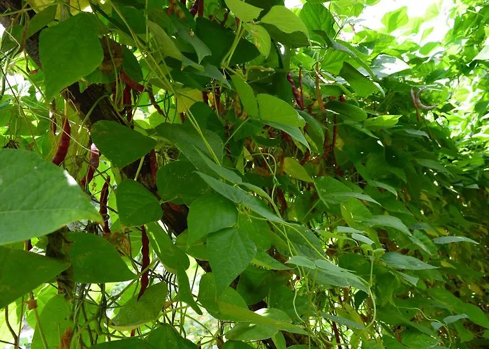 E Turre Serrastretta