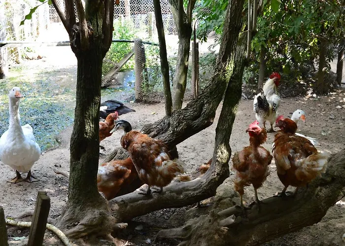 E Turre Alojamento de Turismo Rural Serrastretta