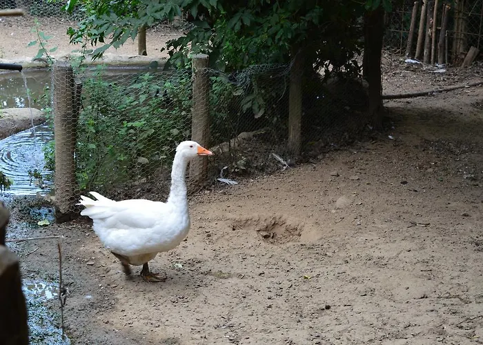 E Turre * Serrastretta