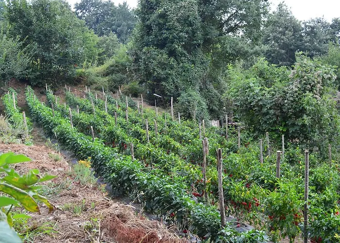 Alojamento de Turismo Rural E Turre Serrastretta