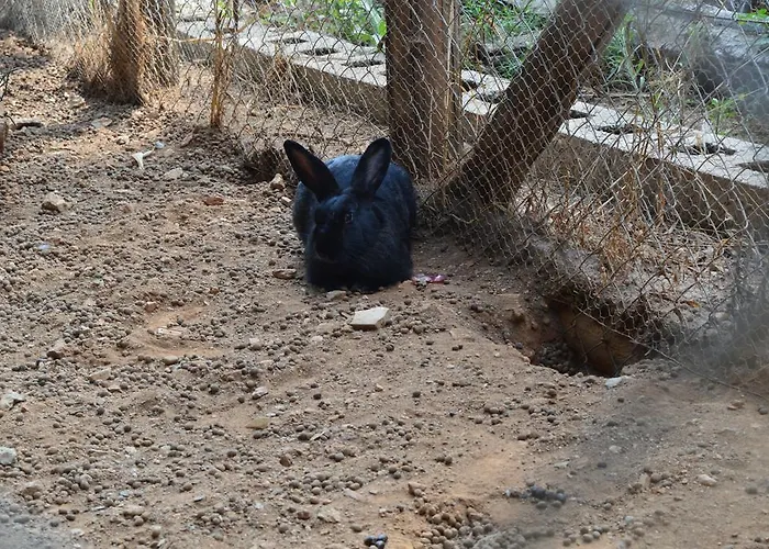 E Turre Alojamento de Turismo Rural Serrastretta