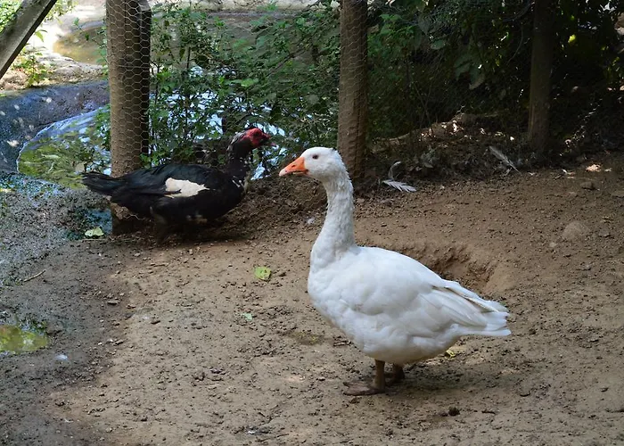 E Turre Serrastretta