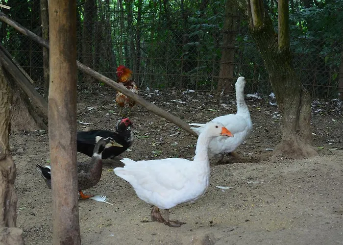 Alojamento de Turismo Rural E Turre Serrastretta