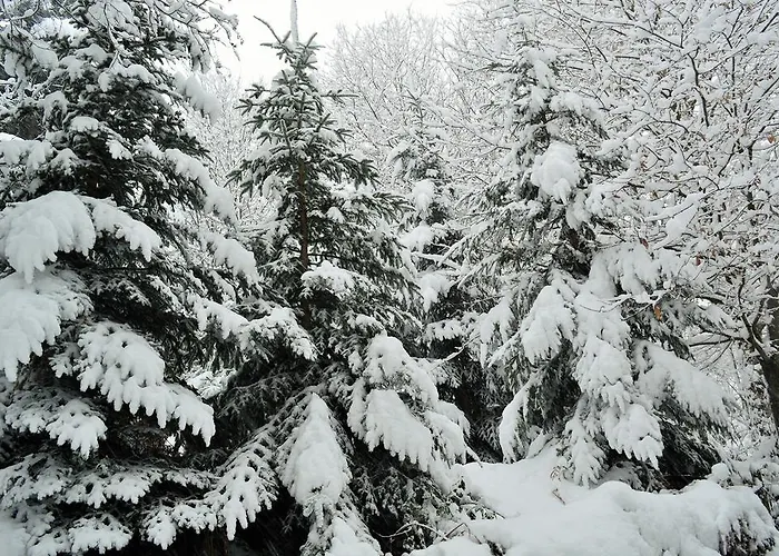 E Turre Serrastretta